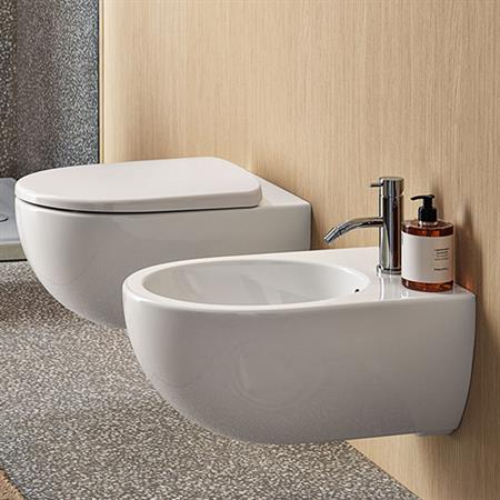 Coppia sanitari vaso bidet e coprivaso tradizionale geberit selnova premium sospesi rimfree