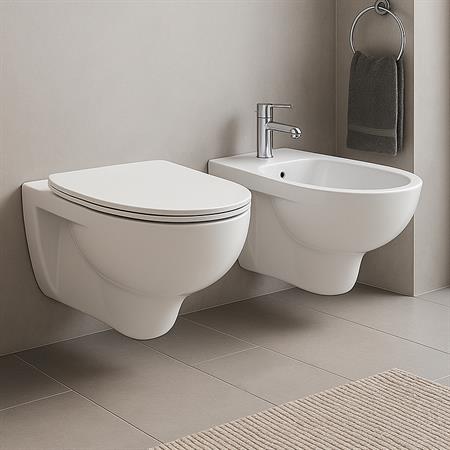 Coppia sanitari vaso bidet e coprivaso universale tradizionale geberit colibri sospesi