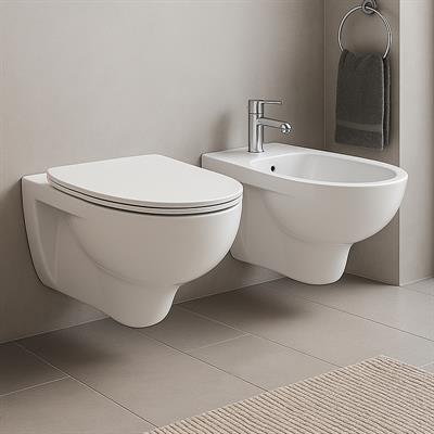 Coppia sanitari vaso bidet e coprivaso universale tradizionale geberit colibri sospesi