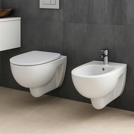 Coppia sanitari vaso bidet e coprivaso originale tradizionale geberit colibri sospesi