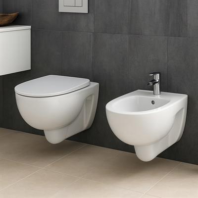 Coppia sanitari vaso bidet e coprivaso originale tradizionale geberit colibri sospesi